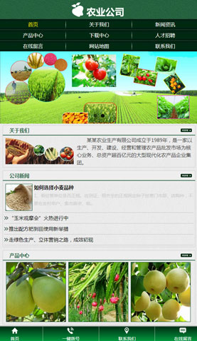 长沙网站建设